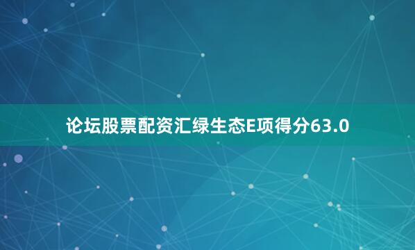 论坛股票配资汇绿生态E项得分63.0