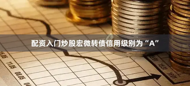 配资入门炒股宏微转债信用级别为“A”