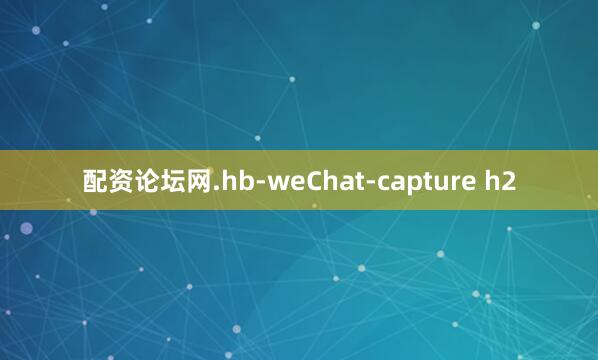 配资论坛网.hb-weChat-capture h2