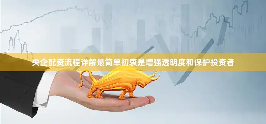 央企配资流程详解最简单初衷是增强透明度和保护投资者